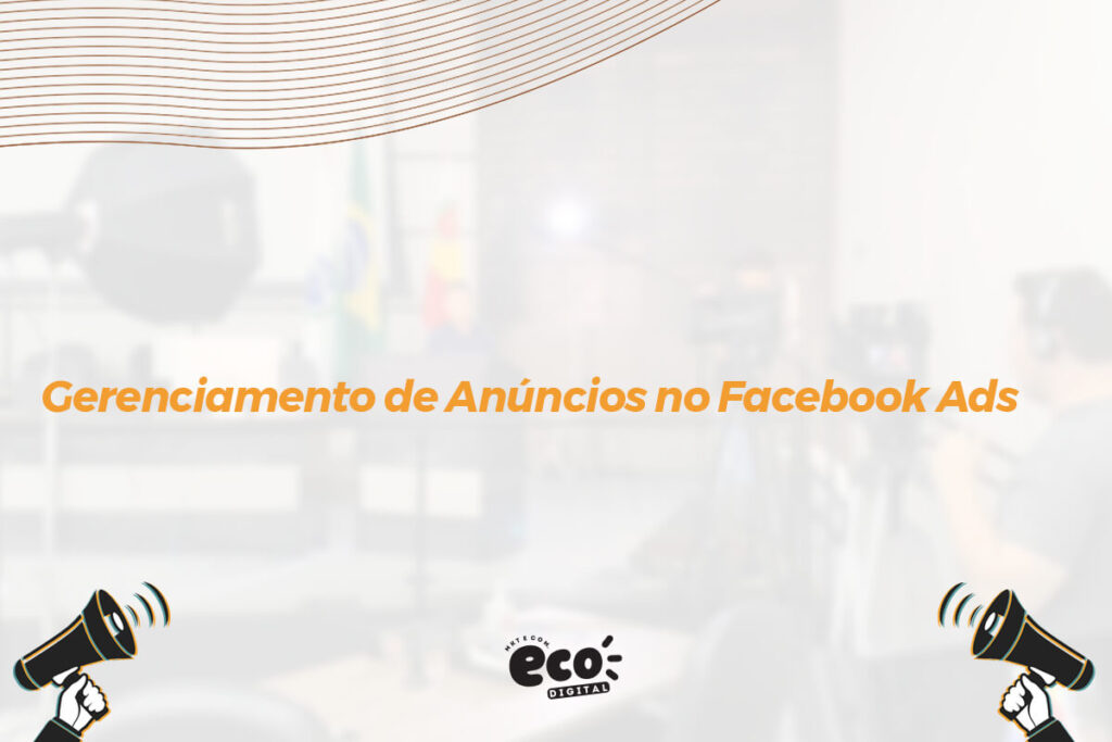 gerenciamento de anuncios no facebook ads (2)