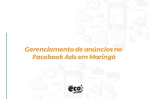 Gerenciamento de anúncios no Facebook Ads em Maringá